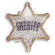 Sheriff Badge