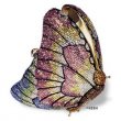 Butterfly - Side View in Pink