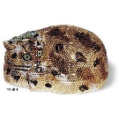 Cat Sleeping  Cat Sleeping