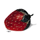 Strawberry Small