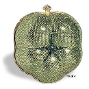 Tomato - Green