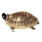 Turtle - Gold  Turtle - Gold