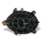 Turtle - Green  Turtle - Green